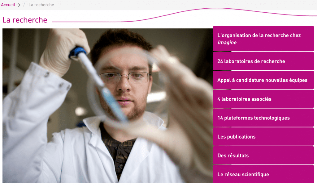 Présentation catégorie Institut Imagine