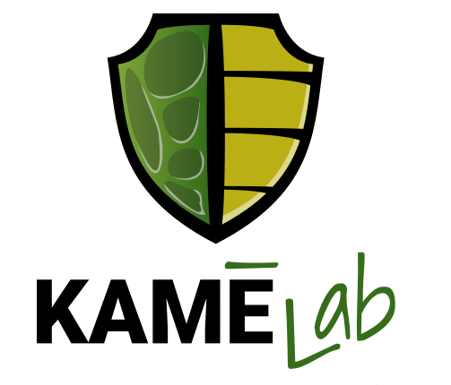 Identité graphique Kamélab (Logo)